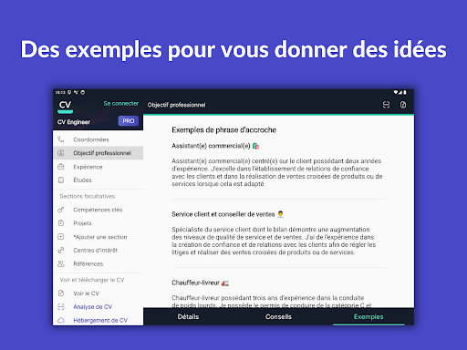 Curriculum Vitae - CV Engineer screenshot 12