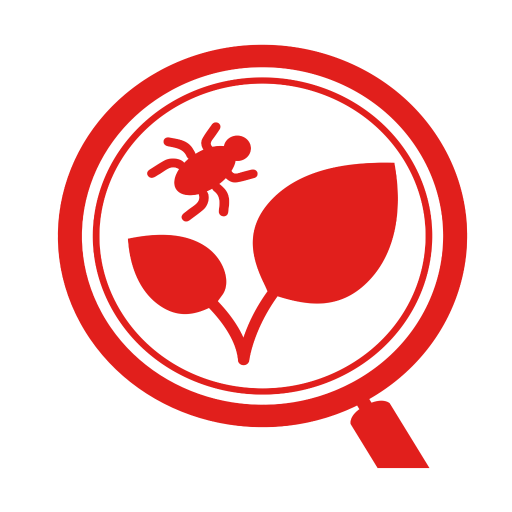 Royal Brinkman MyScout logo
