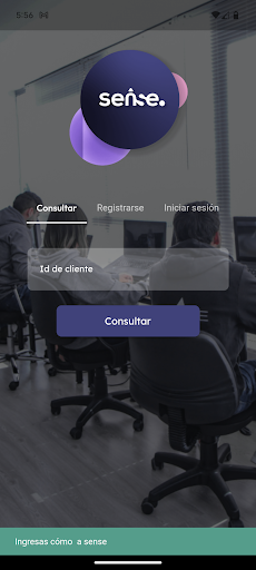 Query Screen 2