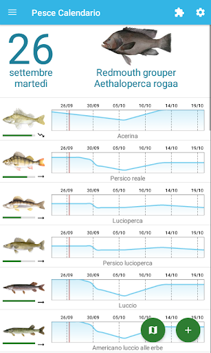 Anteprima dell'app