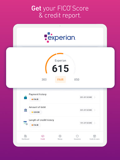 Screenshot of Experian