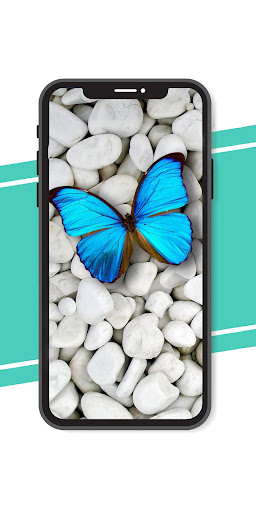 Butterfly Wallpaper