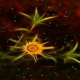 Abstract Sunflower LWP icon