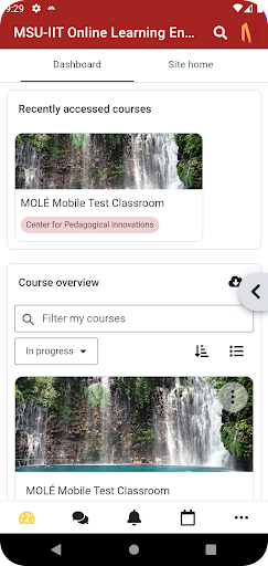 MOLÉ Mobile Screen 2