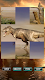 screenshot of Dinosaurs Jurassic Puzzles