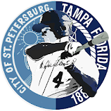 Tampa Bay Baseball icon