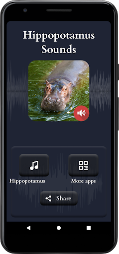 Hippopotamus Sounds Screen 2