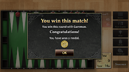 screenshot of The Backgammon
