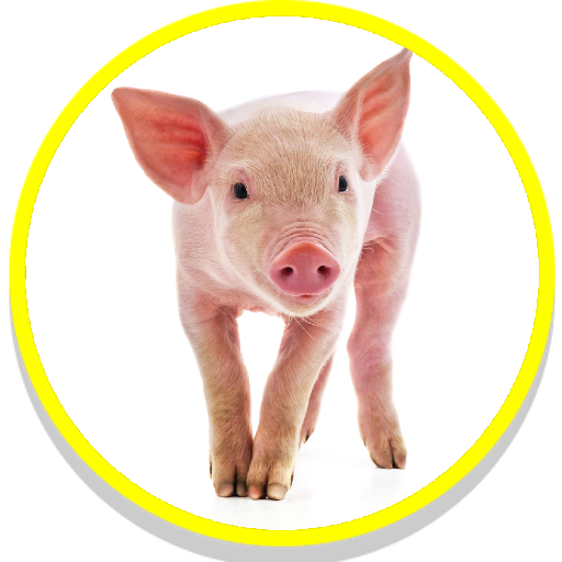 Pig Sounds Laai af op Windows