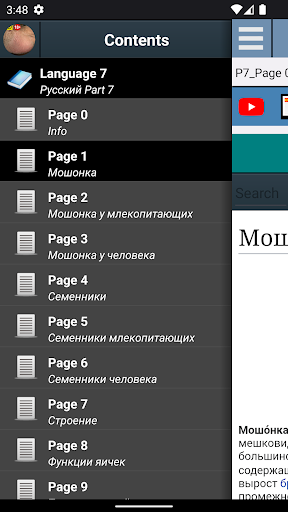 Предварительный просмотр приложения