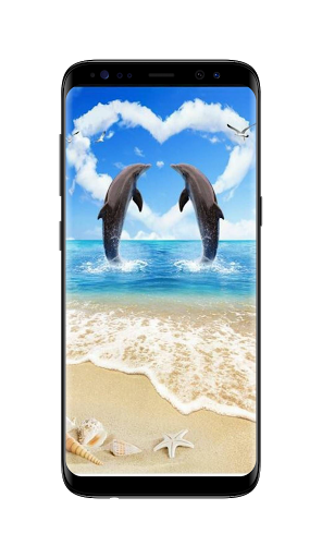 Dolphin wallpaper