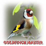 Goldfinch Master Mp3 1.0 Icon