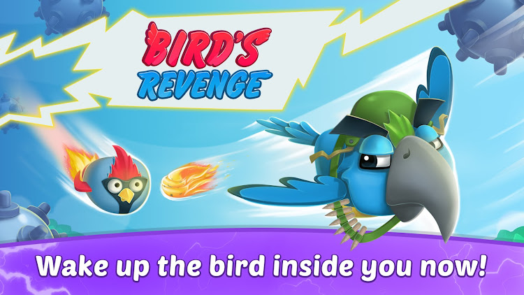 Birds Revenge - Flying birds - 2.2 - (Android)