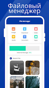 SweepMaster -Файловый менеджер