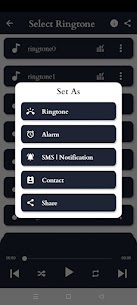Wake Up Alarm Clock Ringtones For PC 4