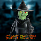 Scary Granny: Horror House 1.1