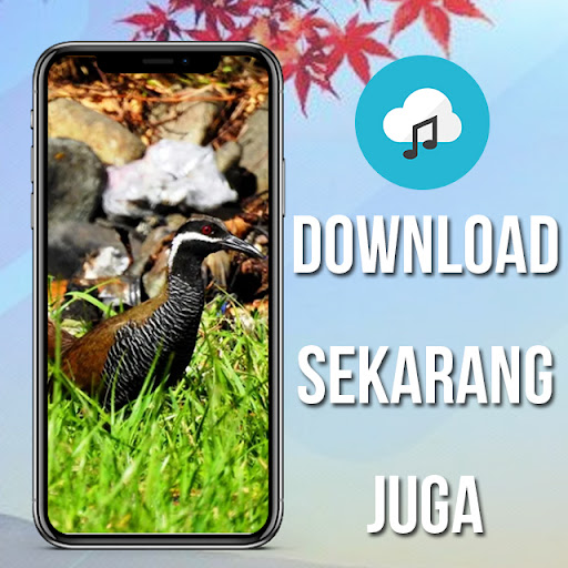 MP3 Pikat Burung Sintar