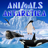 Antarctica Animals icon