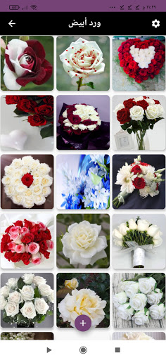صور ورد Screen 2