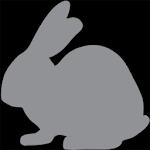 Cover Image of Download The Visible Bunny  APK