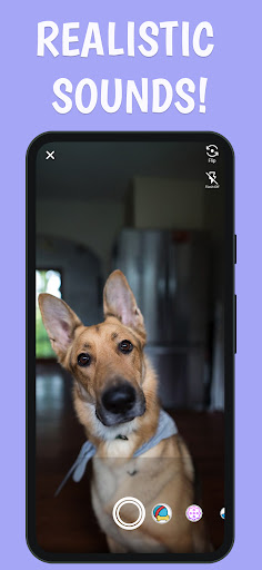 Android application Squeaky Camera App pet camera screenshort