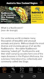 Nudibranch ID Australia & New Zealand