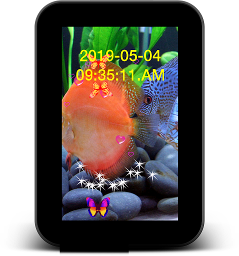 Discus Aquarium Live Wallpaper