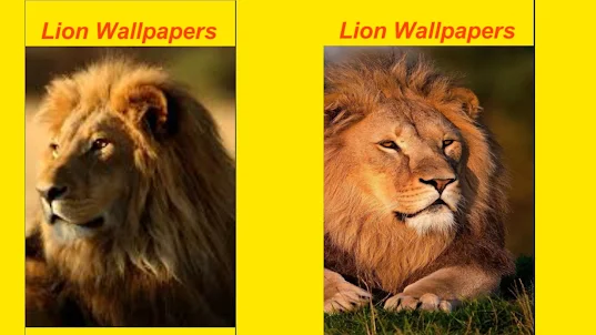 Lion Wallpaper HD Simulator