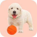 Cover Image of Download Squeaky Toy Sounds  APK