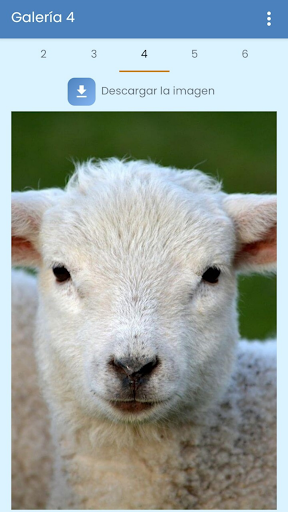 Fondos de Animales Tiernos