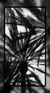 Black Tree Wallpaper HD