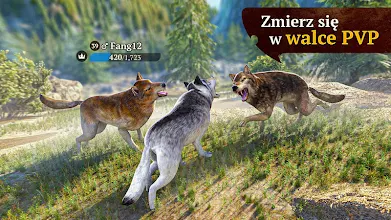 The Wolf Aplikacje W Google Play