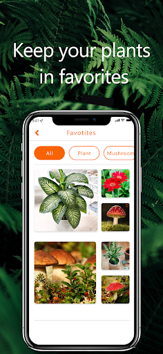 Plant Identifier App - EarthID Screen 3