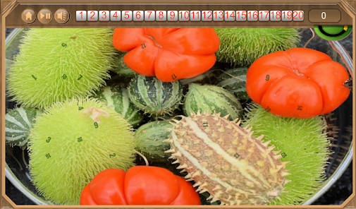 Fruit Baskets Hidden Numbers 4