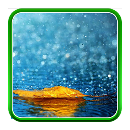 Icon image Rain Live Wallpapers