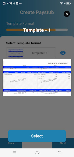 US Paystub Generator Screen 3
