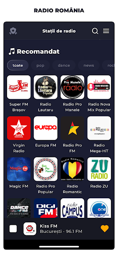 Vista previa de la aplicación