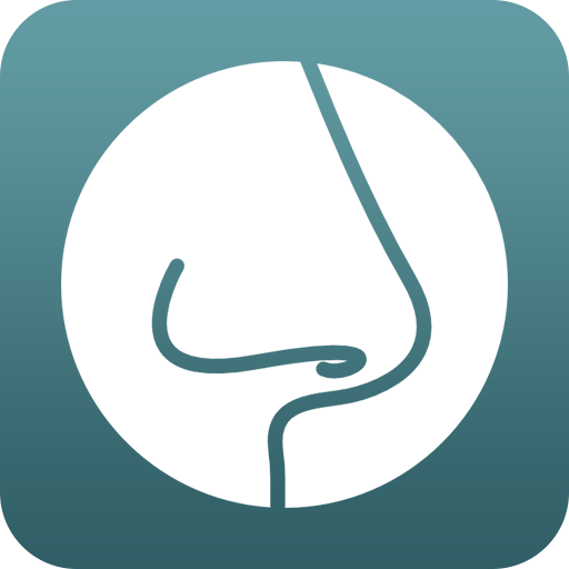 SOGWIFI logo