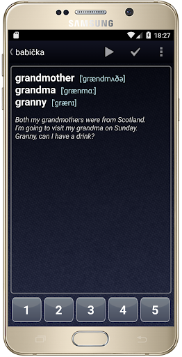 Vista previa de la aplicación