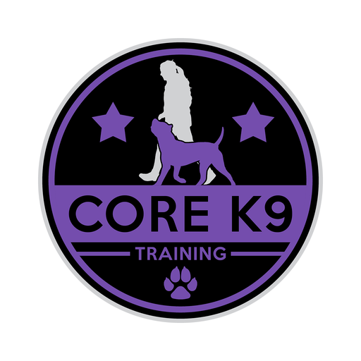 Core K9 Training Download on Windows