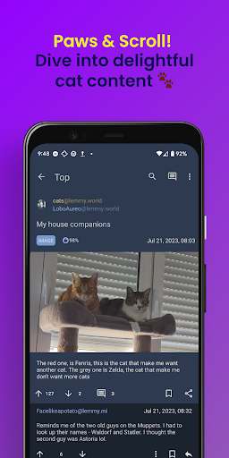 Android application Eternity for Lemmy screenshort