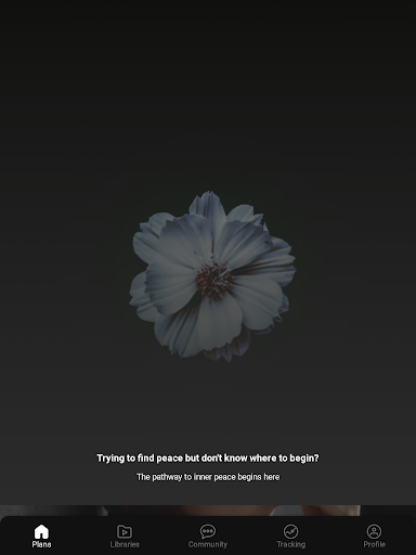 Aligned - Body, Mind & Soul Screen 3
