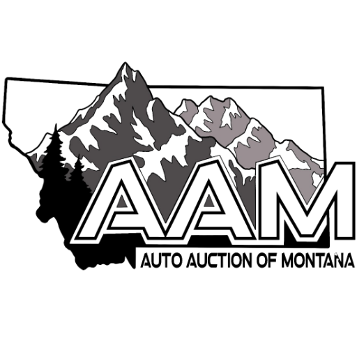 BuyBidMT logo