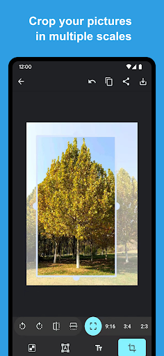 Screenshot of PicMarker: Blur & Markup