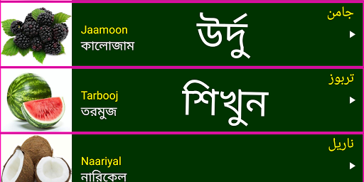 Android application Learn Urdu From Bangla screenshort