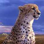 Cover Image of Unduh Cheetah Wallpaper HD 1.0 APK
