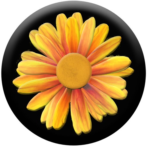 Daisy of Wishes logo