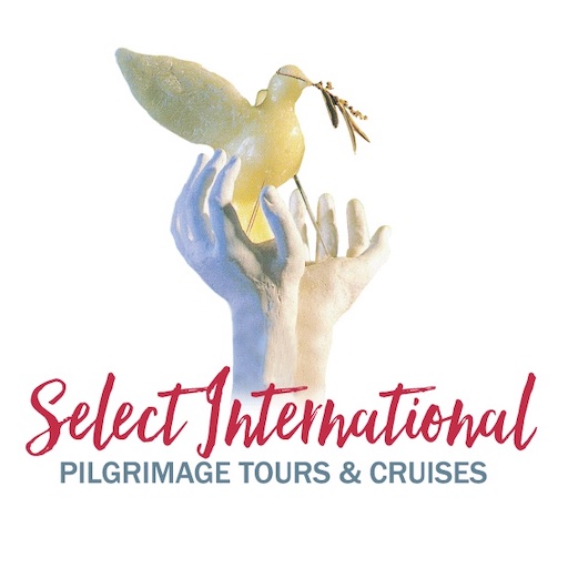 Select International logo
