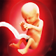 Evolution grossesse Download on Windows