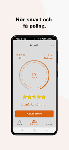 Hemtjänsten Screen 3